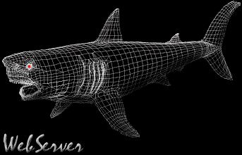 shark